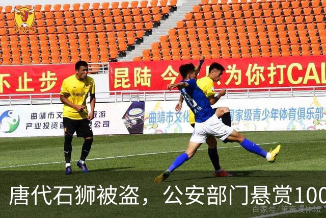 唐代石狮被盗，公安部门悬赏100万