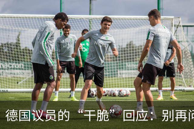 德国议员的“干脆”回应：别再问我这种问题了！
